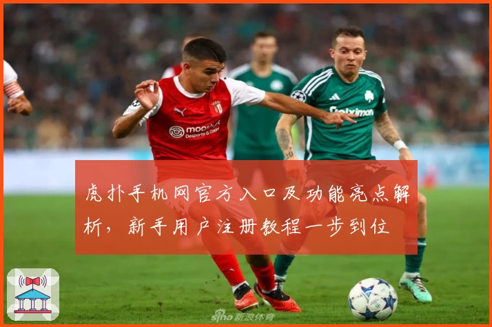虎扑手机网官方入口及功能亮点解析，新手用户注册教程一步到位